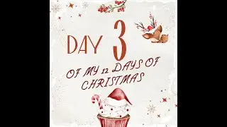 12 Days of Christmas Project 3