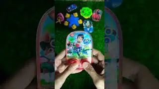 paw patrol#watergames#squidgame#pawpatrol#short