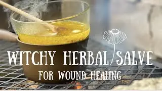 Herbal Medicine for Wound Healing |  🌿  Make a Salve Like A Witch