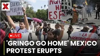 Mexico Protest LIVE:Protesters Slam Gentrification In Mexico City March 'Gringo Go Home |NewsX World