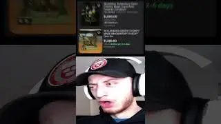 Цены на Skylanders в 2025 году