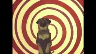Magic Trix - U Got A Message (OFFICIAL VIDEO)