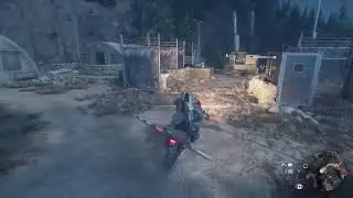 Days gone hard 2 level