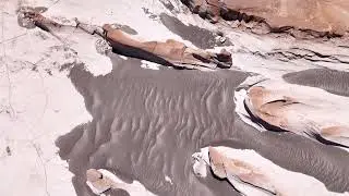El Campo de Piedra Pomez