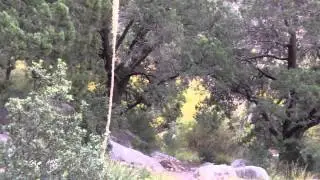 Oliver Lee State Park, 2.5miles up Dog Canyon