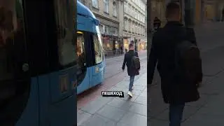 Ездит по трамвайным путям #егор #nodejs #загреб