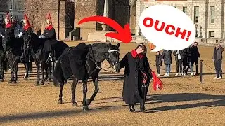 Horse Goes Crazy and Guard Falls Off