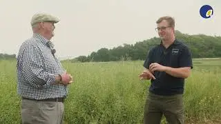 Nutrient efficiency and crop establishment with Luxor
