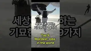 세계의 신기한 직업들 (Top 9 Weirdest Jobs in the world) #신기한 직업 #동기부여 #hug #sleep