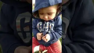 Baby isaac best poop face