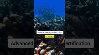 What is the Cost of Scuba Diving in Goa? 🐬 #goa #scubadiving #travelblogger