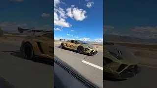 daily driven exotics