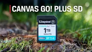 Kingston Canvas Go! Plus SD Gen 4 &mdash; твой спутник во всех приключениях!