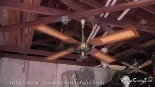 Evergo Ceiling Fan 52INS Model 4E-3LWSBS