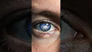 Life vs Entropy : Why the Universe Shouldn&rsquo;t Allow You to Exist