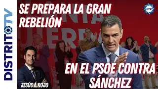 JESÚS Á. ROJO: 🔴SE PREPARA LA GRAN REBELIÓN EN EL PSOE CONTRA SÁNCHEZ; ESTO SE HUNDE🔴