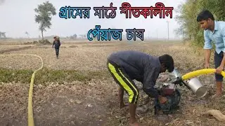 শীতকালে গ্রামে পেঁয়াজ চাষ 🌱 Part 02 | Village Life | Akshay World