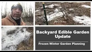 Backyard Edible Garden Update | Winter Garden Planning