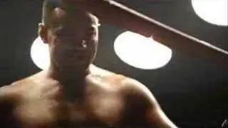 Travelers Insurance Boxer