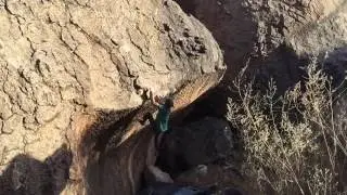 Peñoles 2015 2016