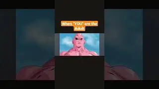 Being The Adult Credits:Akira Toriyama,Toei Animation ,and Team Four Star ( Dragon Ball Z: Abridge)