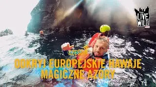 Daily Vlog AZORY #7/10: PRÓBUJEMY NOWEGO SPORTU - COASTEERING, DEGUSTUJEMY NAJLEPSZE RYBY I SERY