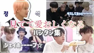 【BTS日本語字幕】見てて愛おしくなるバンタン集Part2