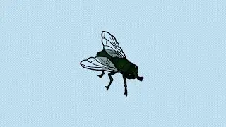 Crazy Fly - Kaifar | funk