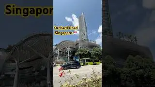 Orchard Road Singapore🇸🇬 #shorts #trending #trendingshorts #new #llve #fun #travel #singapore #wow