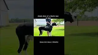 Amish story of God and a Mother&rsquo;s love by Danes And Jesus. A Brifford Great Danes Ministry.