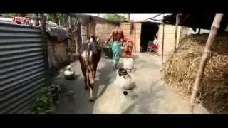 WFP Bangladesh: Food Security for the Ultra Poor (short version with subtitles)