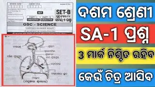 10th Class SA 1 Science Question Paper 2022#SA 1 Class 10 Life Science Selective Question 2022