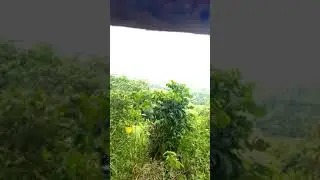 Bukit ramag