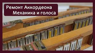 Трудовые будни / Ремонт Аккордеона / Механика и голоса