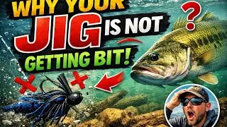 Why Your Jig Isn't Getting Bit (Fix This Today)