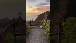 S&atilde;o Miguel, Azores 🇵🇹🌿 | 17 Seconds of Pure Island Beauty
