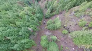 truck crash skokomish