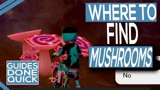 Where To Find The Max Mushrooms In Pokemon Sword & Shield Isle Of Armor