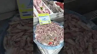 Beautiful high quality fish with Robin Hood and his beautiful family