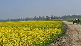 grameen madho pathat