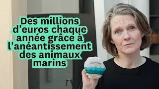 Le label MSC : une vaste arnaque internationale