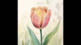 TULIP - LAYZEN [Official Audio]