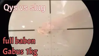 nembak ikan gabus dgn M1M1Z