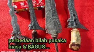 cara memilih pusaka buat PEMULA/awam‼️
