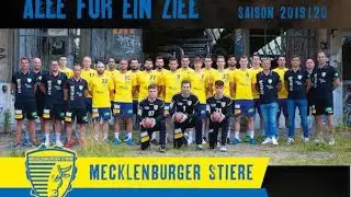 Mecklenburger Stiere vs. SC Magdeburg II