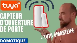 [ domotique ] Capteur d'ouverture de porte WIFI Tuya pas cher (Et Tutoriel scénarios Smartlife)