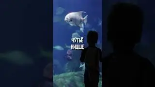 Ницше и Дионис