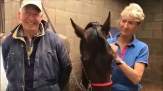 Stable Visits 2018 - Lord Stables