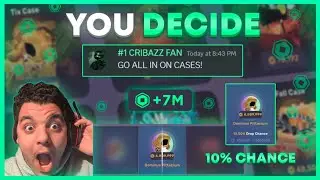 I Let My Viewers Spend My Robux On RBLX Wild