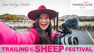 Trailing of the Sheep Festival 2025 in Sun Valley Idaho